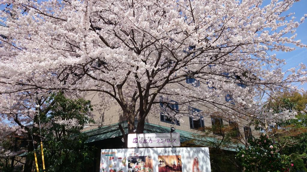 Kyoto Garden Palace Ngoại thất bức ảnh